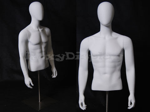 PVC Plastic Male Torso, Model Number : DRS-101