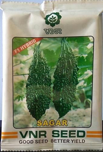 Natural Bitter Sagar Seeds, Shelf Life : 9 MONTH