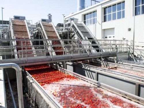 100-1000kg Tomato Processing Plant, Voltage : 380V, 440V