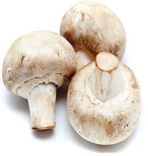 Organic Fresh Mushroom, For Cooking, Packaging Type : Plastic Bag, Plastic Container, Polythene Bag