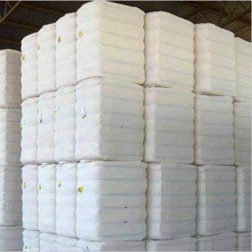 Plain BCI Cotton Bales, Feature : High Fluid Absorbency, Quick Dry