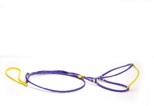 Leather Plain Dog Harness Belts, Style : Buckle, Button