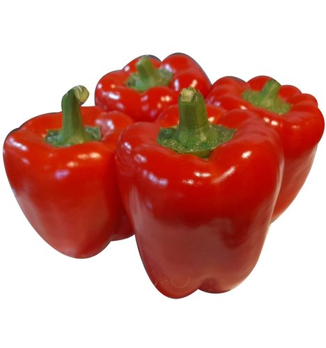Fresh Red Capsicum Storage : Store In The Refrigerator For Up To 1 Week