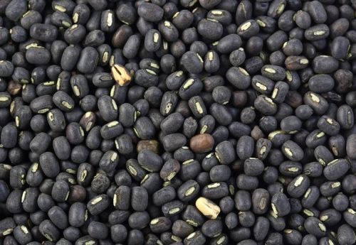 Natural Black Urad Dal, Certification : FSSAI Certified