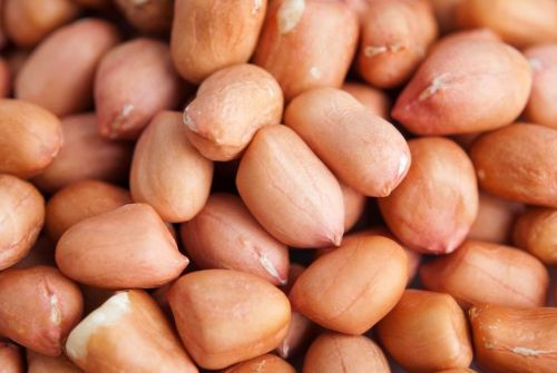 Natural Groundnut Kernels, Feature : Fine Taste, Good For Health, Non Harmful, Optimum Quality, Pure Organic