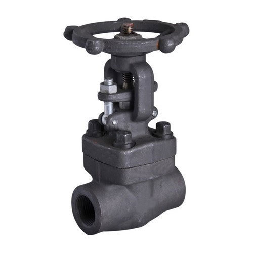 F304 Forged Steel Gate Valve, Size : 15 Mm To 50 Mm