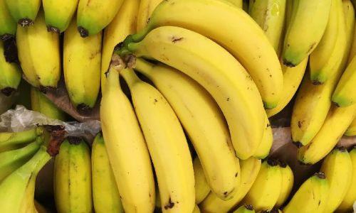 Organic Cavendish Banana, For Human Consumption, Certification : FSSAI Certified