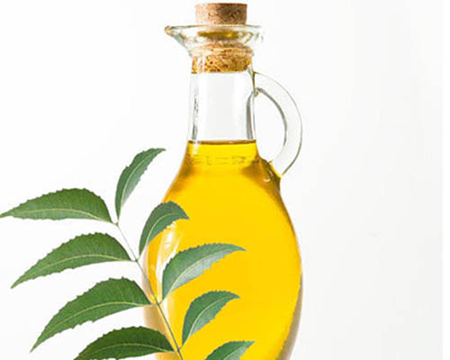 Leaves Neem Oil, Packaging Type : 100ml, 200ml