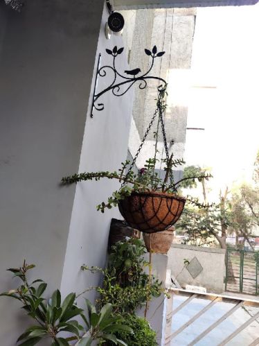 Polished Iron Coir Hanging Basket, Shape : Round, Half Round