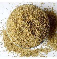 Origanic Organic Browntop Millet Seeds, Shelf Life : 12months