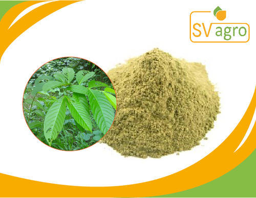 Banaba Leaf Extract Powder, Packaging Size : 25 KG