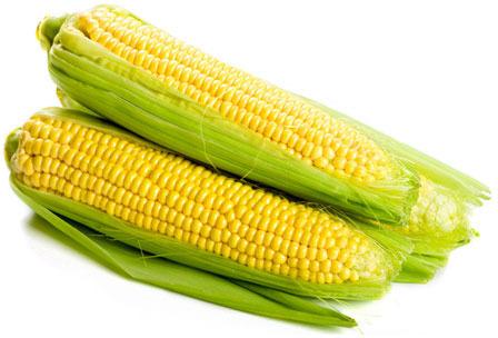 Natural Fresh Corn, For Bakery, Cooking, Pizza, Snacks, Certification : FSSAI
