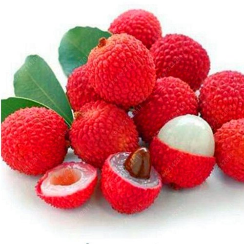 Natural Fresh Litchi, For Chips, Food, Juice, Medicine, Packaging Type : Carton Box