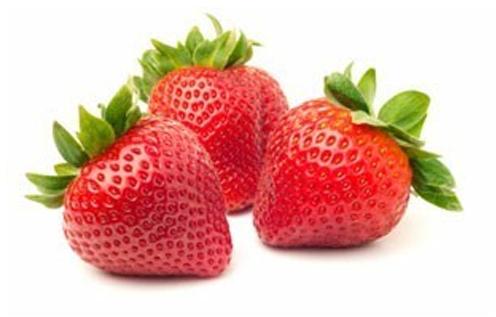 Natural Fresh Strawberries, For Human Consumption, Packaging Type : Plastic Bag