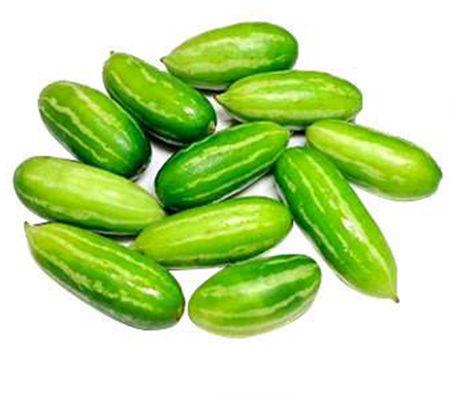 Fresh Tendli, For Human Consumption, Packaging Type : PP Bags