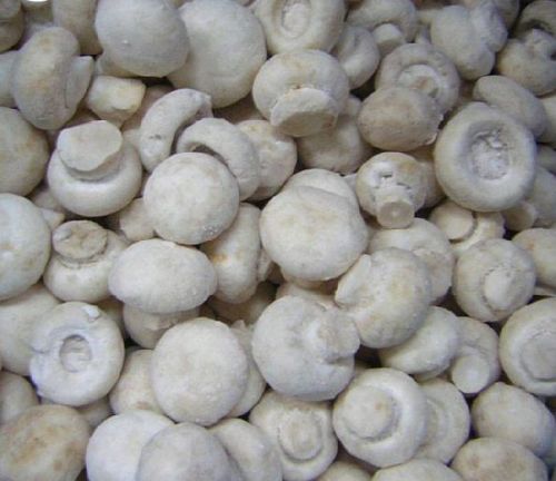 Frozen Mushroom, For Cooking, Packaging Type : Plastic Bag