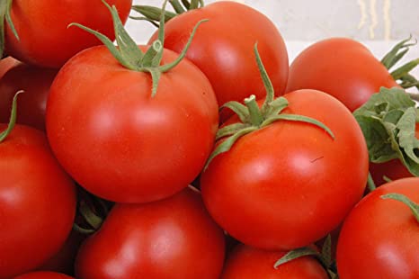 Seeways Organic F1 Yuvraj Tomato Seeds, Packaging Type : Plastic Packet