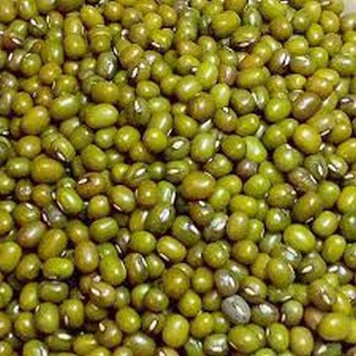 Organic Green Moong Dal, For Cooking, Specialities : Good Quality