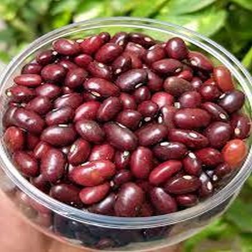 Organic Kidney Beans, For Cooking, Specialities : Good Quality, Fresh