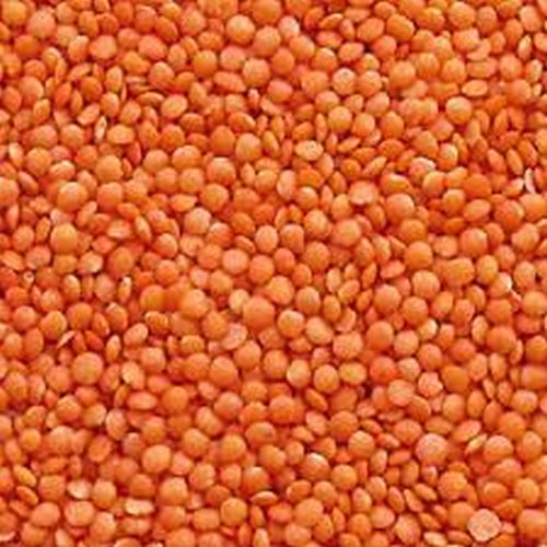 Natural Masoor Dal, For Cooking, Feature : Healthy To Eat