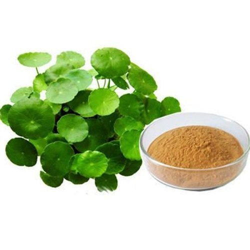 Brahmi Extract, Packaging Type : Packet