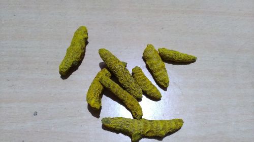 Dried Megha Turmeric Finger, Color : Dark Yellow