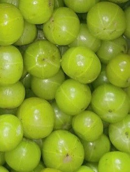 Organic Fresh Amla, Color : Green