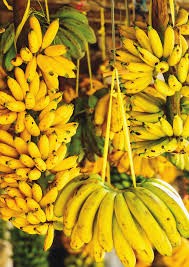 Organic Fresh Banana, Feature : Absolutely Delicious, Easily Affordable