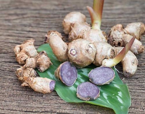 Organic Fresh Black Ginger