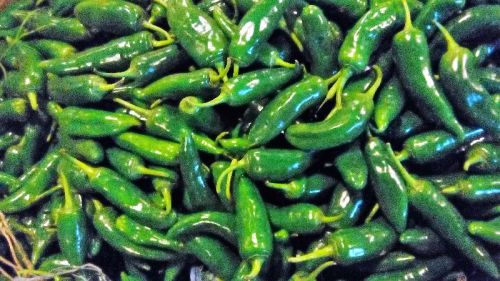 Organic Fresh Green Bullet Chilli, For Good Nutritions, Good Health