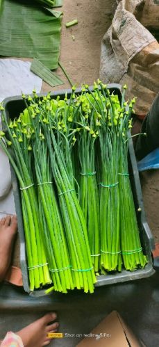 Organic Fresh Onion Flower Stalk, Color : Green