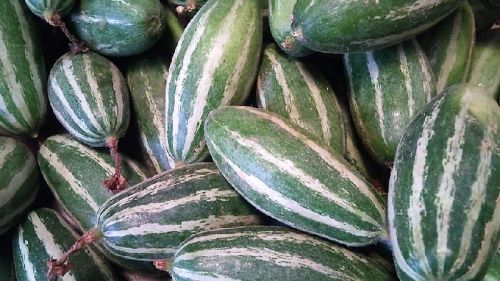 Organic Fresh Pointed Gourd