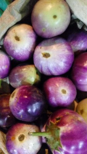 Organic Fresh Round Brinjal, Color : Purple