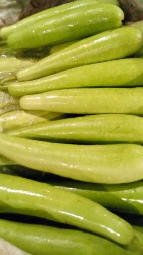 Fresh White Long Bottle Gourd, For Good Nutritions, Good Health