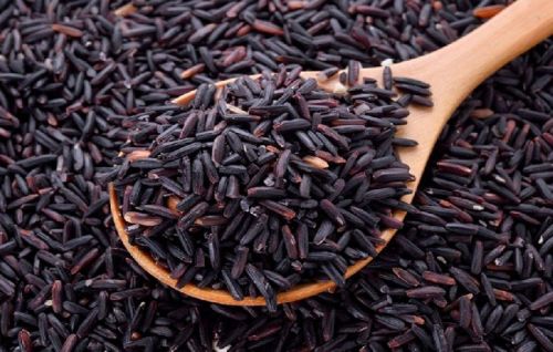 Organic Manipuri Black Rice, Packaging Type : Jute Bags, Plastic Bags, Plastic Sack Bags