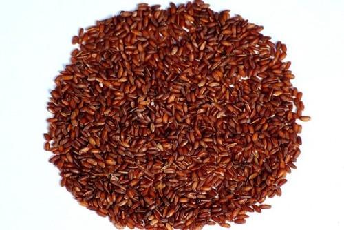 Organic Red Rice, Shelf Life : 18months