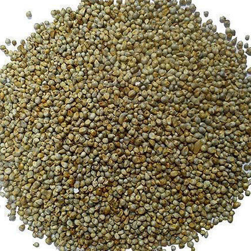 Common Organic Bajra Seeds, For Cooking, Style : Dried