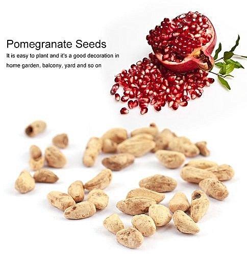 Pomegranate Seed