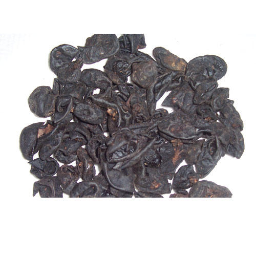 Dried Kokum, Certification : Import Certifications, FDA Certified, FSSAI Certified, ISO 9001:2008