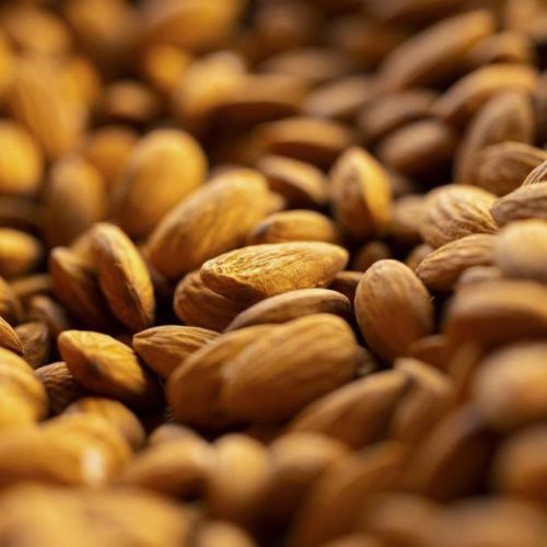 Hard California Almond Nuts, Style : Dried