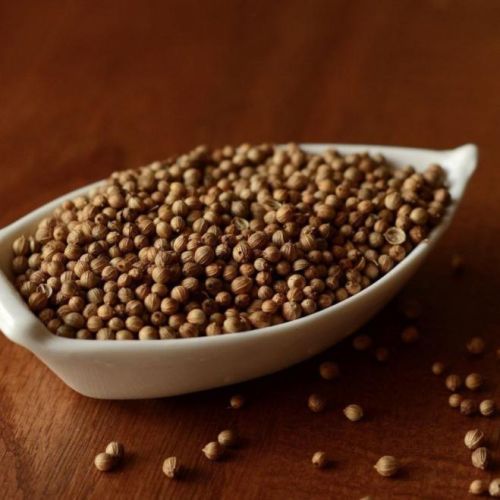 Natural Coriander Seeds, For Cooking, Certification : FSSAI Certified