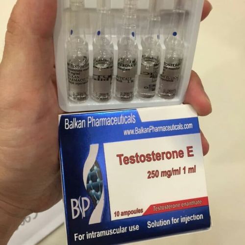 Balkan Testosterone E 250mg/ml Vial Injection