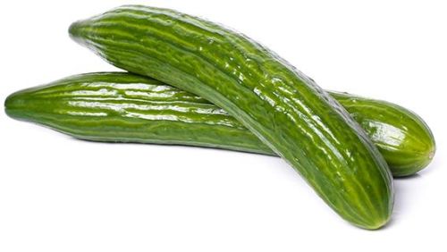 Fresh Cucumber,fresh Cucumber