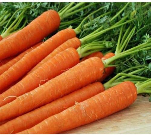 Organic Fresh Carrot, Color : Red