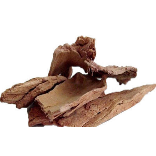 Arjuna Bark, Grade : Medicine Grade