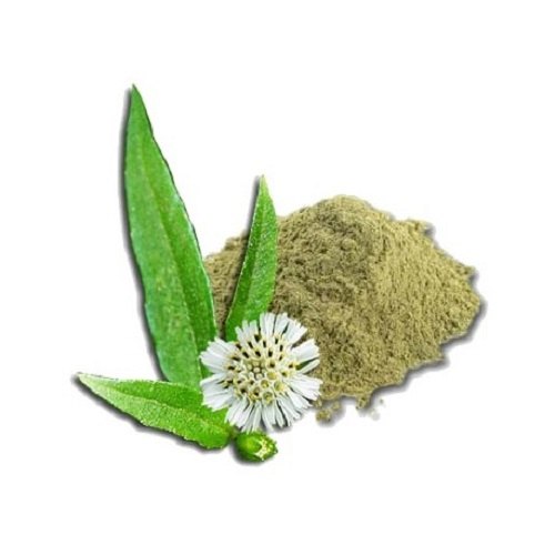 Bhringraj Powder