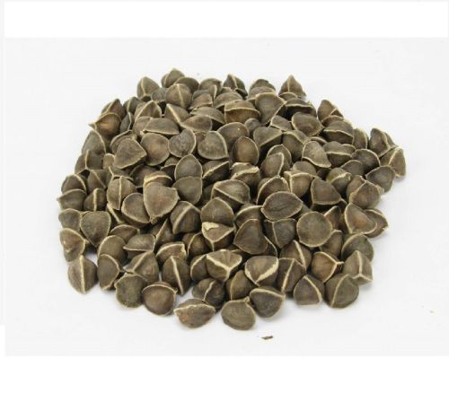 Organic Moringa Seeds, Certification : FSSAI Certified