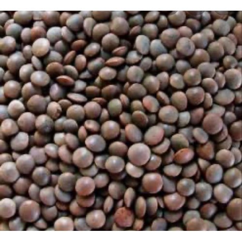 Organic Whole Masoor Dal