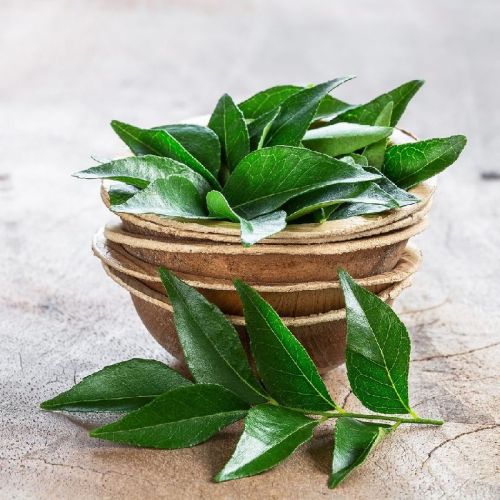 Natural Curry Leaves, For Cooking, Packaging Type : Plastic Packet