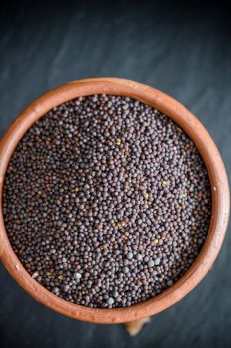 Natural Mustard Seeds, For Cooking, Packaging Type : Plastic Packet